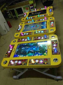 一网打尽捕鱼机价格与软件开发全解析